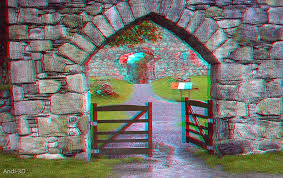 Image result for anaglyphen