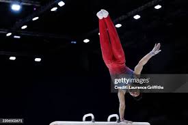 Image result for Huntingdon Gymnastics Club