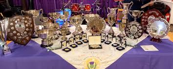 Image result for Lanark Thistle Bowling Club