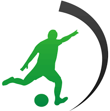 Image result for Newton Abbott Knights