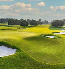 Image result for Cranfield Golf Academy