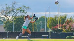 Image result for Greta Badminton Club