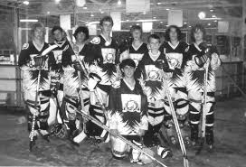 Image result for Vipers Roller Hockey Team