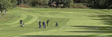 Image result for Hazel Grove Cc