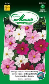 Image result for Schmuckkörbchen