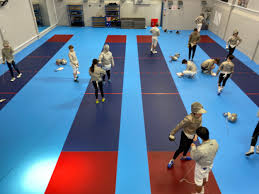 Image result for Stort Valley Sabre Club