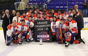 Image result for Solihull Recreational Ice Dancing Club