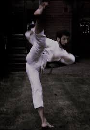 Image result for middlesbrough karate academy