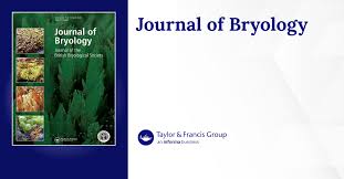 Attēlu rezultāti vaicājumam “Homomallium incurvatum sporophyte”