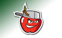 Fort Wayne Tin Caps voted best new logo - Gaslamp Ball