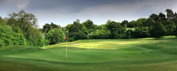 Image result for Aldwickbury Park Golf Club