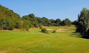 Image result for Chelmsford Gc