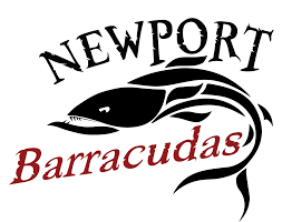 Image result for Black Country Barracudas Sub Aqua Club