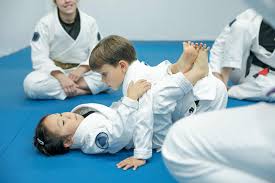 Image result for AAZENTAI JU JITSU