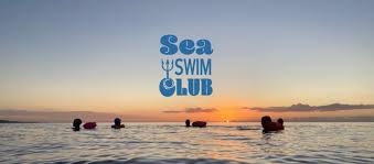 Image result for Bournemouth Spartans Winter Sea Swimming Club