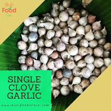 Attēlu rezultāti vaicājumam “Allium sativum fruit”