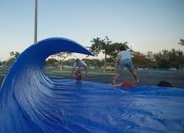 Image result for York University Surf Club