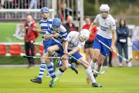 Image result for World of Shinty