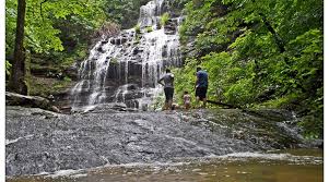 Image result for Glossopdale Devils