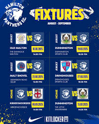 Image result for Hamilton Panthers Association Football Club