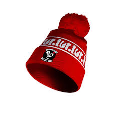 Image result for Croesyceiliog Cricket Club