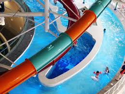 Image result for Coventry Swimming Club