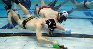 Image result for Dublin Underwater Hockey Team