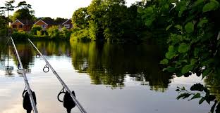 Image result for Woking & District Angling Association