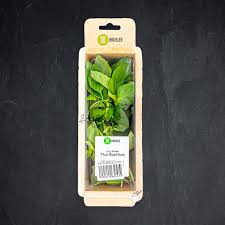 Image result for Basilikum