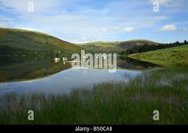 Image result for St Mary's Loch Sailing Club