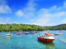 Image result for Fowey Cricket Club