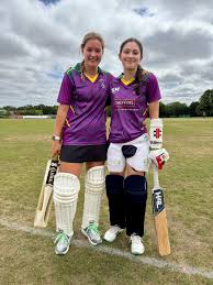 Image result for Saffron Walden Cricket Club