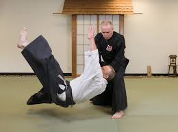 Image result for Budo Shin Ryu Kempo Jujitsu Academy