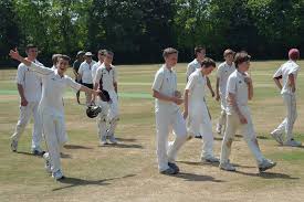 Image result for Harpenden Cricket Club