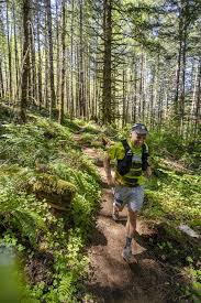 Image result for kommtek tehron