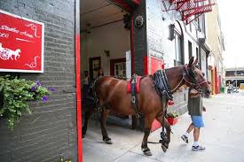 Image result for Cliff Hatch Stables