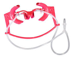 Attēlu rezultāti vaicājumam “Nola sp.”