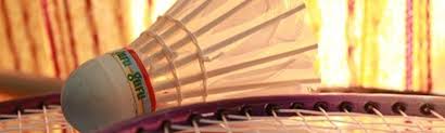 Image result for Regis Badminton Club