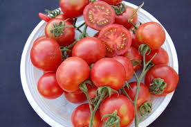 Afbeeldingsresultaat voor brandywine tomato