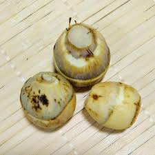 Attēlu rezultāti vaicājumam “Sagittaria sagittifolia fruit”