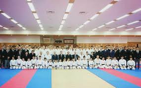 Image result for Thames Valley Karate
