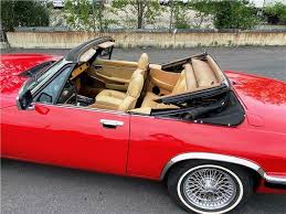 Image result for Antelope 1984 Jaguar