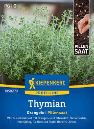 Image result for Thymian