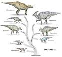 Hadrosaurid - Wikipedia, the free encyclopedia