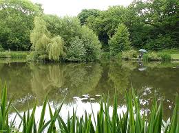 Image result for Crowborough & District Anglers Association