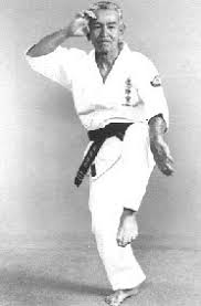 Image result for Ryuko Dojo