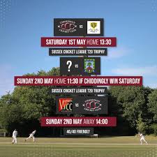 Image result for Chiddingly Cricket Club