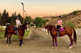 Image result for Bookham Riding Club