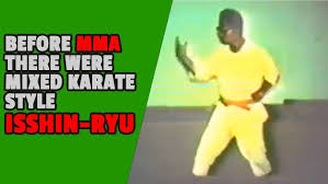 Image result for Imi Jishin Ryou karate do