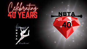 Image result for Carmarthen Twirlers